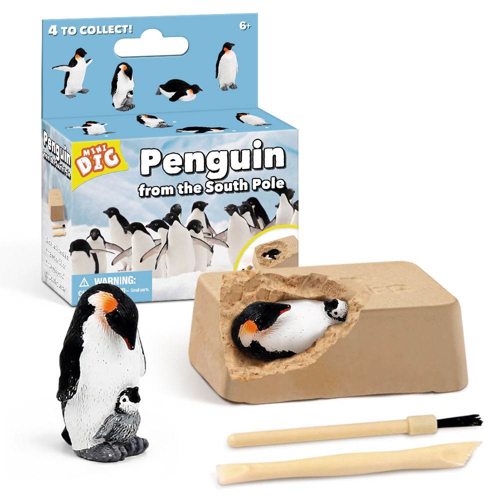 Kids Educational Exploration Toy - Blacinshop