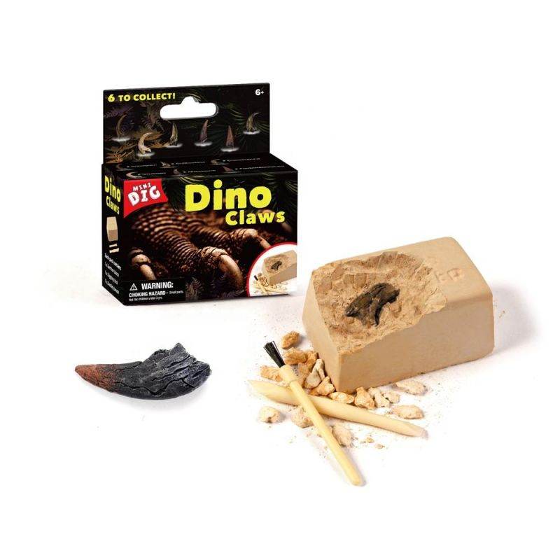 Kids Educational Exploration Toy - Blacinshop