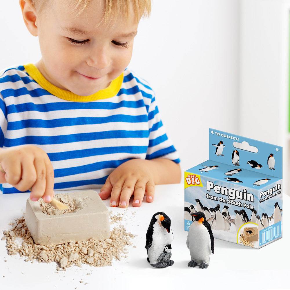 Kids Educational Exploration Toy - Blacinshop