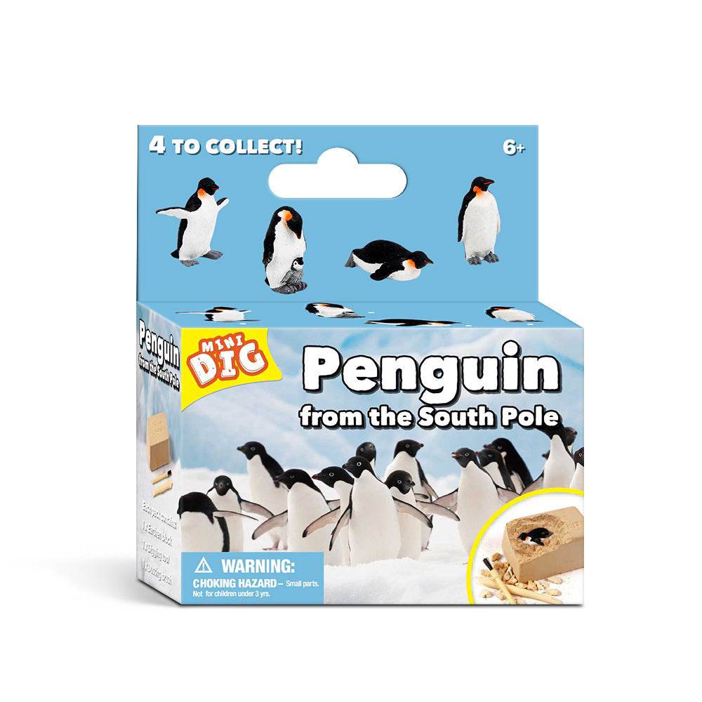 Kids Educational Exploration Toy - Blacinshop