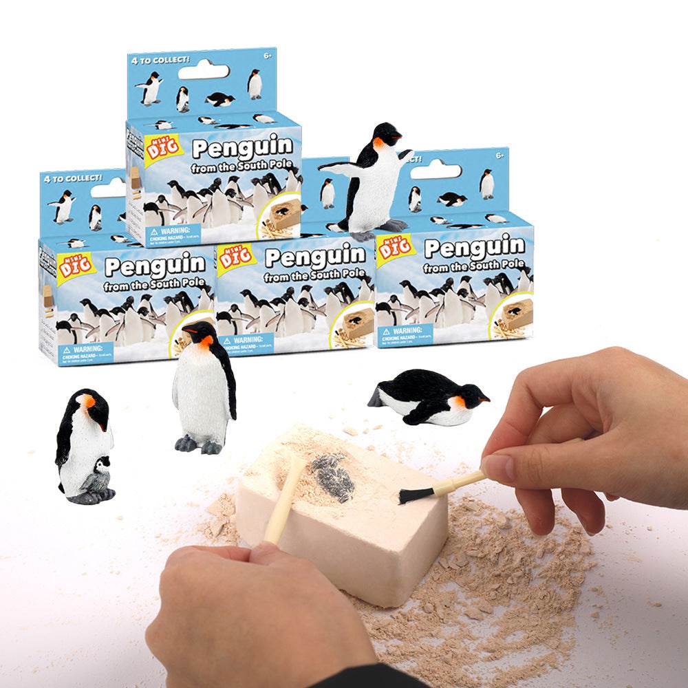 Kids Educational Exploration Toy - Blacinshop